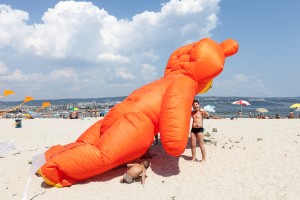kite_festival-17