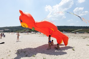kite_festival-18