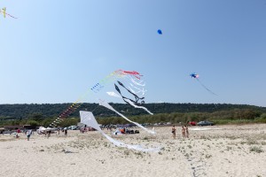 kite_festival-54