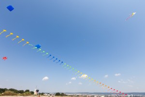 kite_festival-56