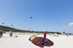 kite_festival-74